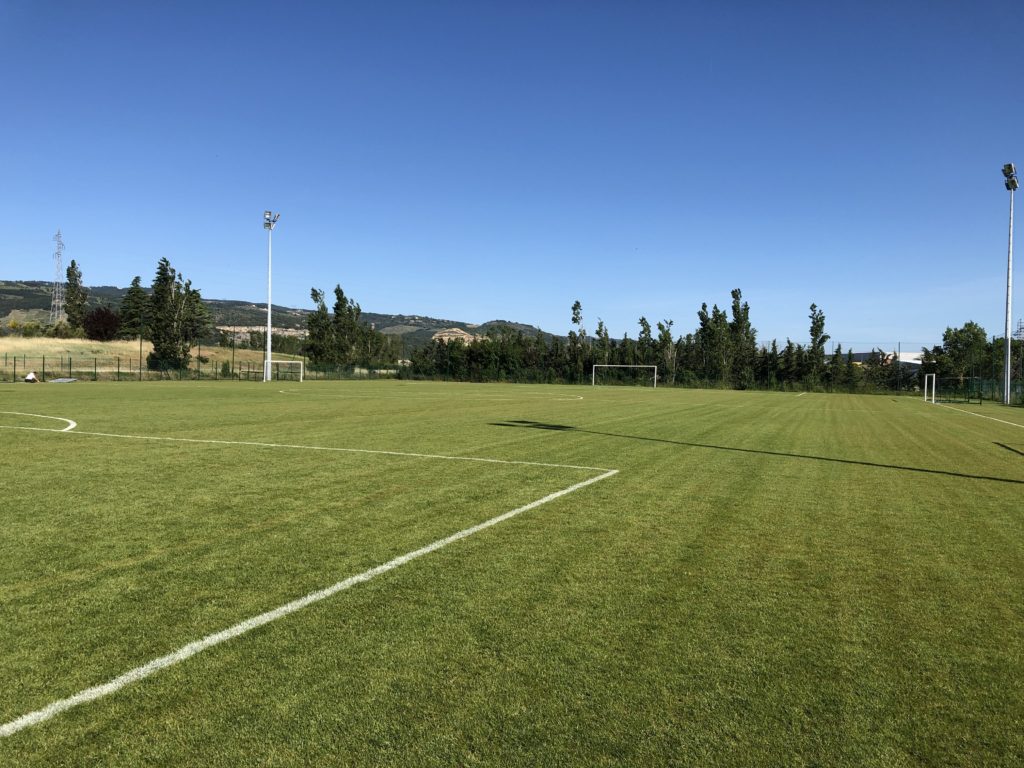 Terrain de foot en gazon naturel